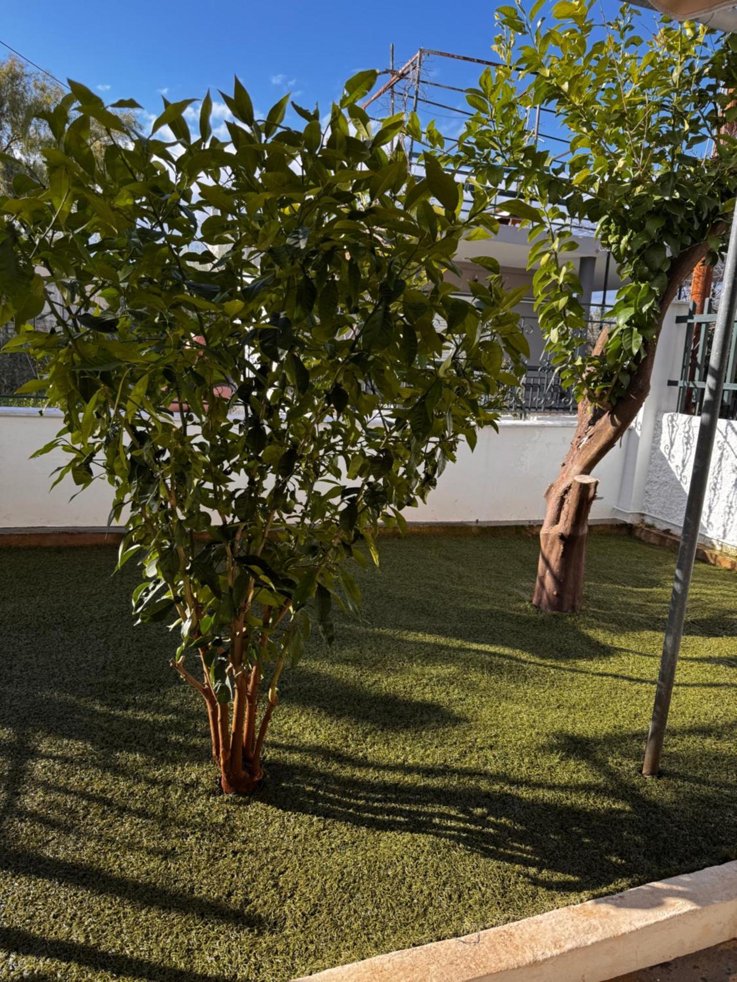 Salamis Luxury Escape Villa Bagian luar foto